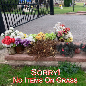 anthony-community-cemetery-no-items-on-grass-anthony-nm